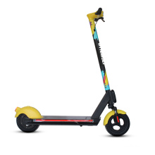 electric scooter free shiping toursor electric scooter scotter electric scooter adult